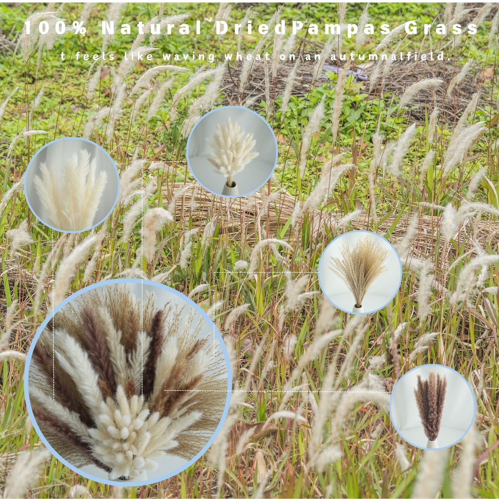 100 Pcs Natural Dried Pampas Grass & White Bunny Tails, 17″ Fluffy Boho Decor…