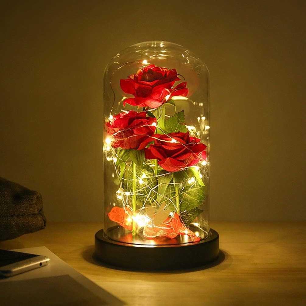 Valentines Day Gifts for Her,Beauty and The Beast Rose in Glass Dome Red Rose