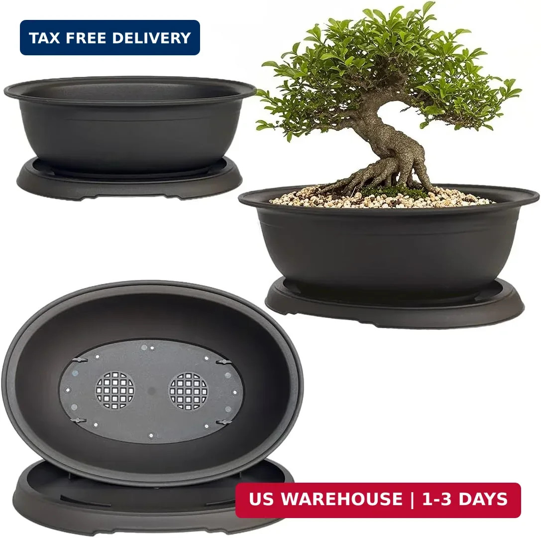MUZHI 3 Pack Mixed Size Oval Bonsai Planter Pot with Drainage Tray, Matte Finish