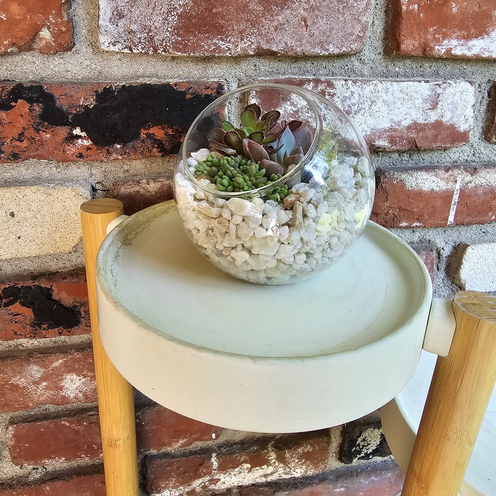 DIY Succulent Arrangement in Glass Bowl with Decorative Pebbles | Perfect Indoor