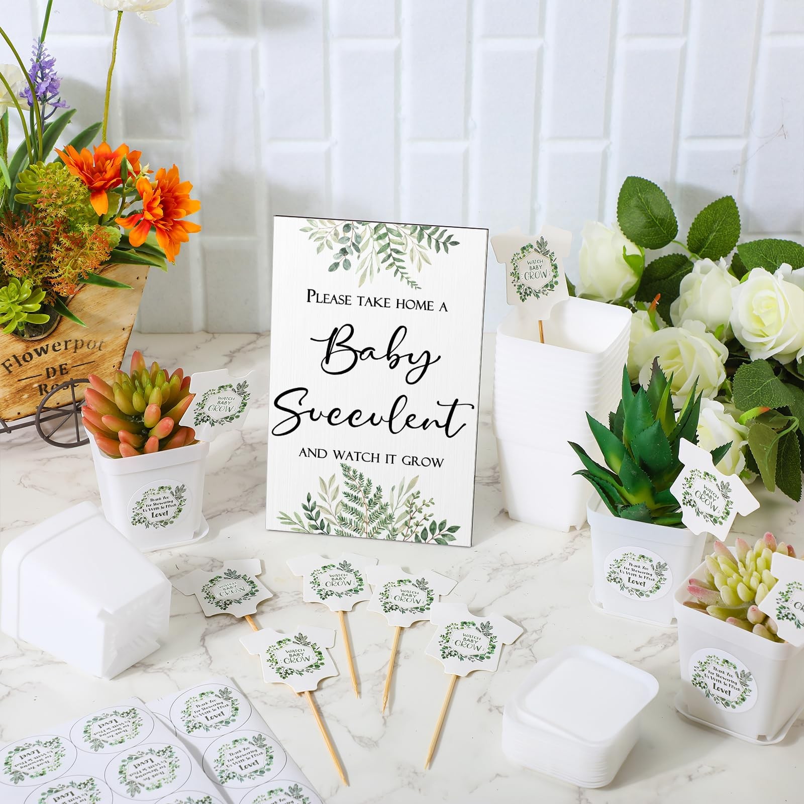 151 Pcs Baby Shower Succulents Favors for Guests Include 1 Safari Greenery Ba…