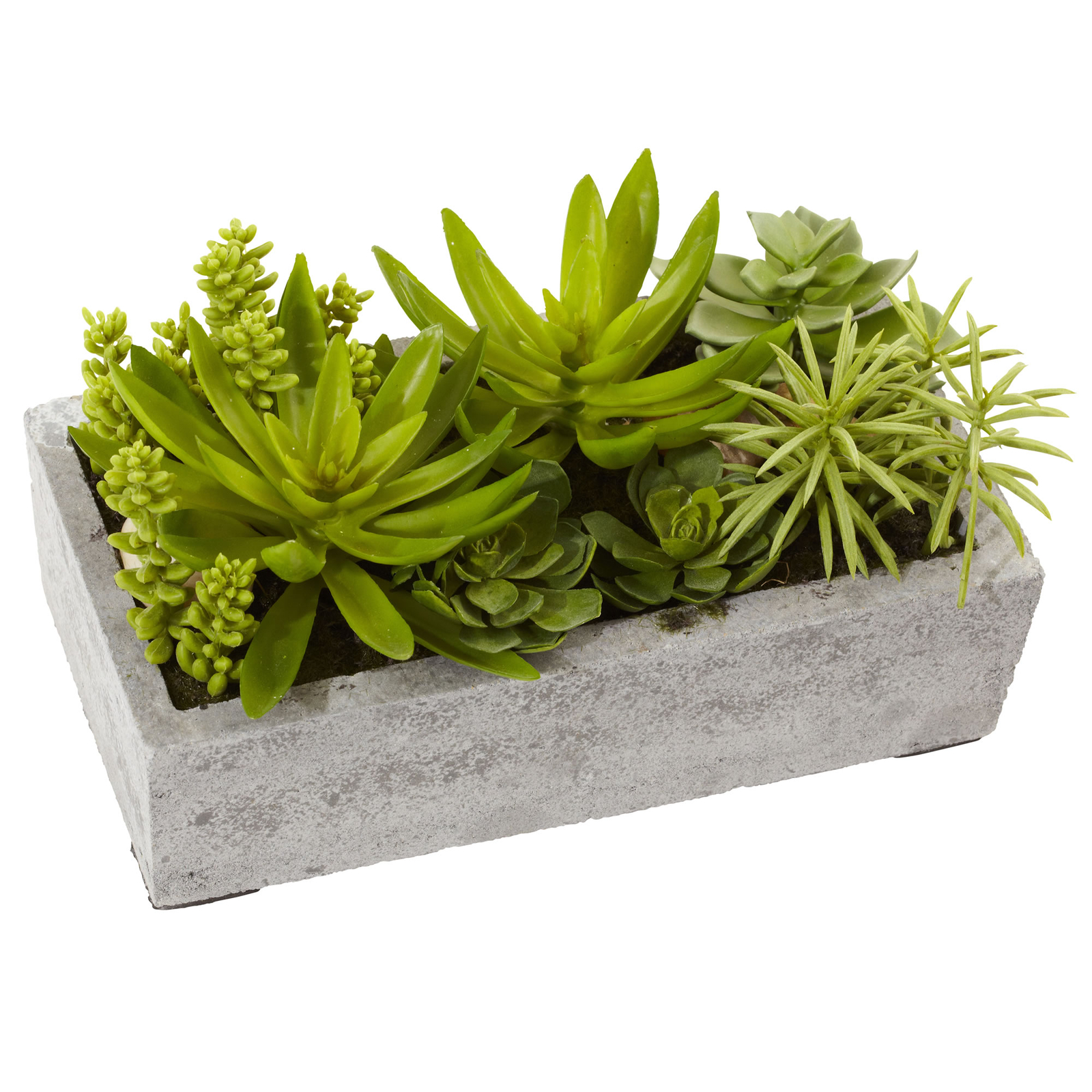 Succulent Garden Decorative Cement Concrete Planter Nearly Natural Home 6.5 inch