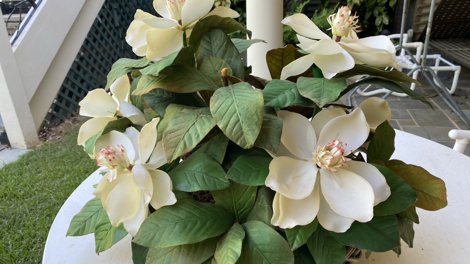 NDI Arrangement Large Basket Of Magnolias Vintage Approx 24”X20” Very Realistic
