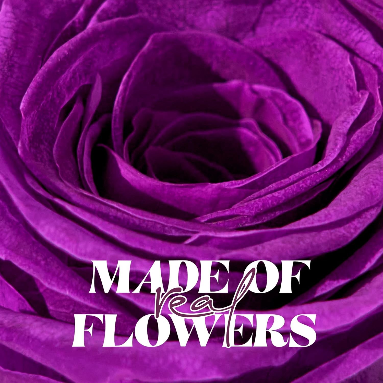 Forever Flowers Preserved Roses Prime Delivery, Romantic Gifts with Light in Gla
