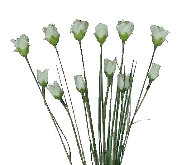 (20 Pack) Cream Mini Rose Bud 15″ Filler Spray Silk Flower Decor Art Craft US