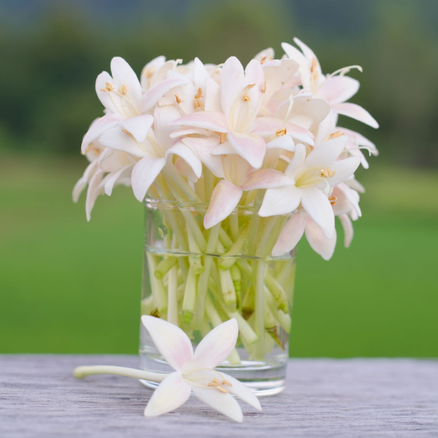 10 Pcs. Indian Cork Flowers Clay Artificial Thai Handmade Decorate Arrangement