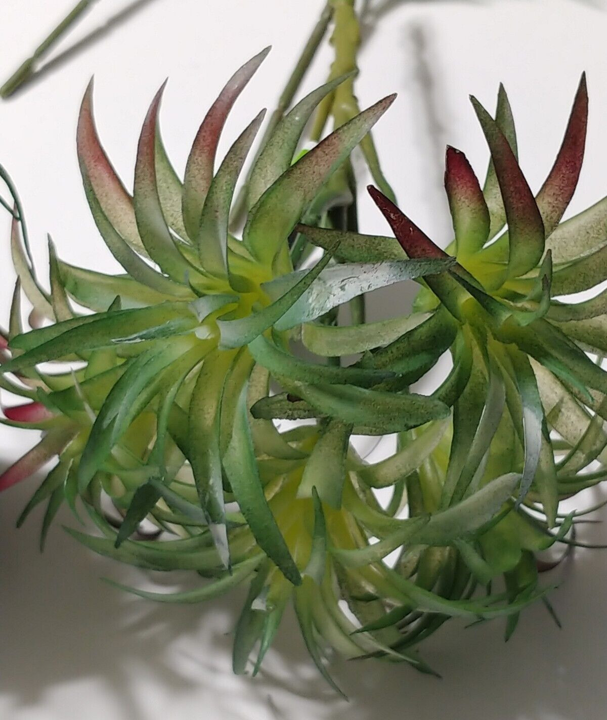 Ashland Tropical Floral Picks Greenery Sizes 3″ to 10″ Crafts Display Lot of 14