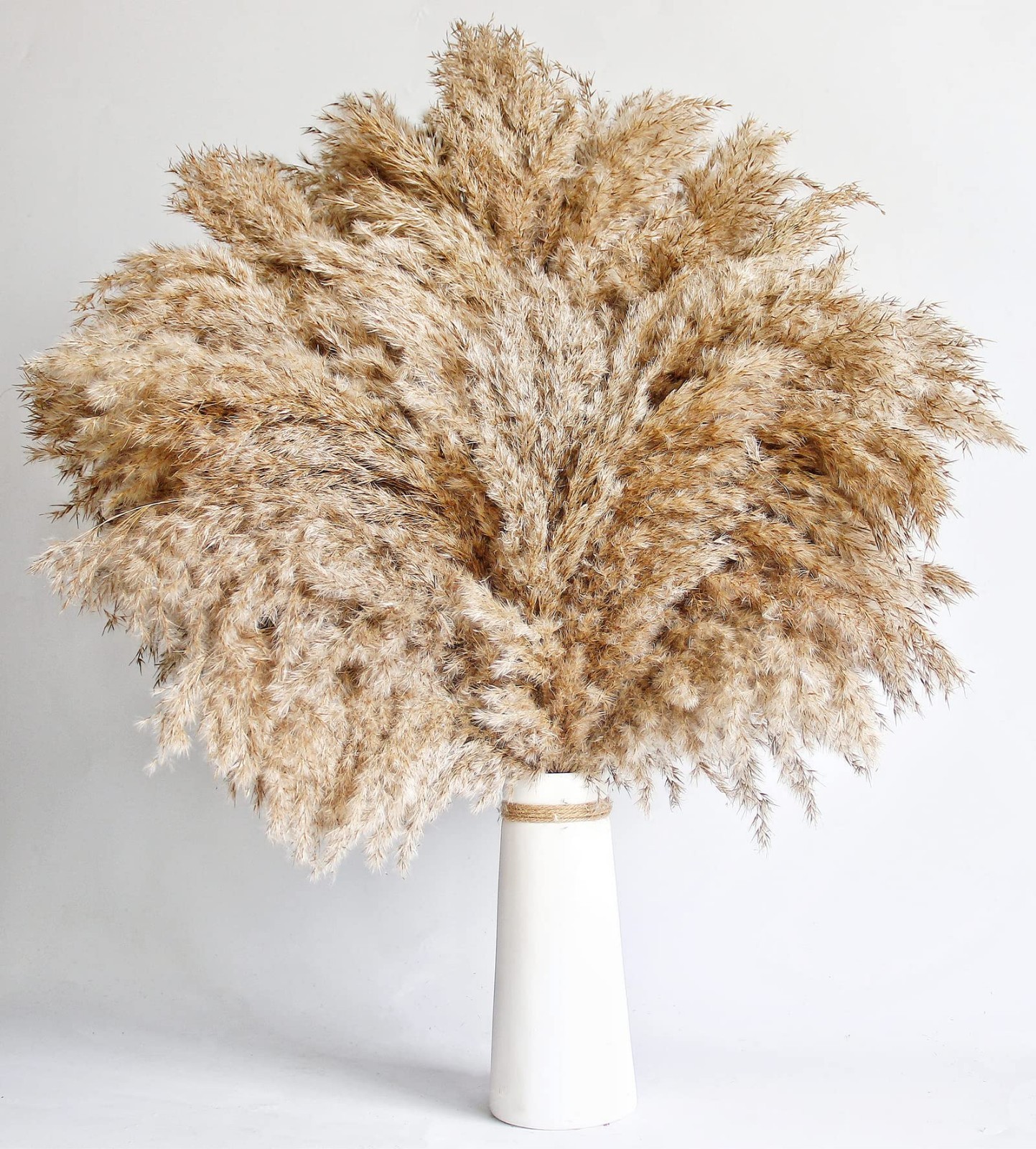 60 PCS Natural Pampas Grass – Fluffy Boho Decor for Home & Coffee Table, 17