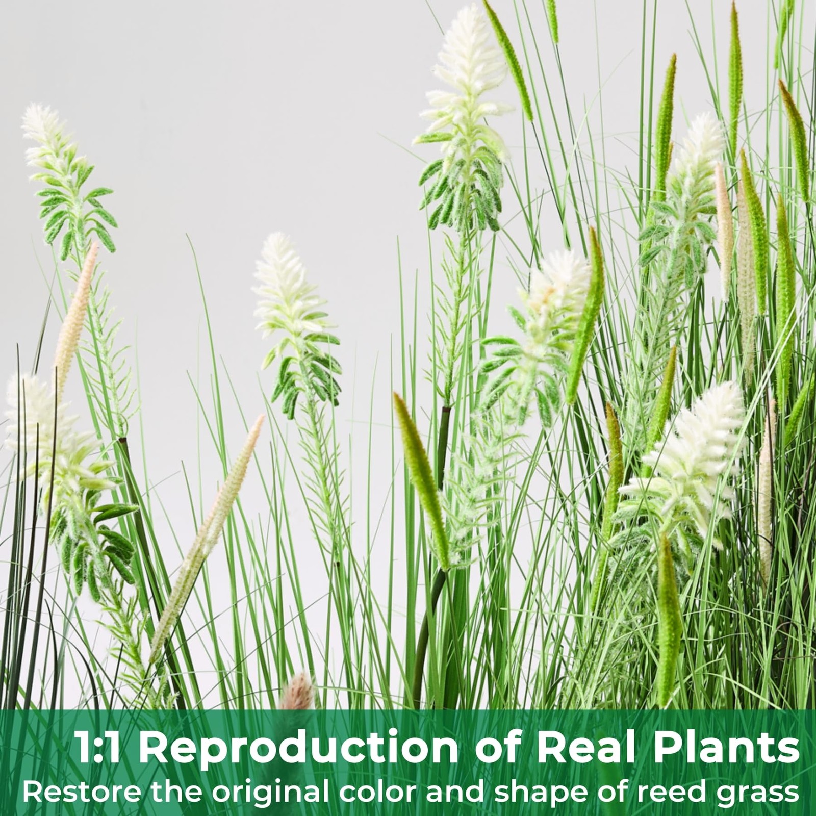 4ft 2-Pack Horsetail Reed Grass with White Cockscomb Flower, 48in Tall Indoor…