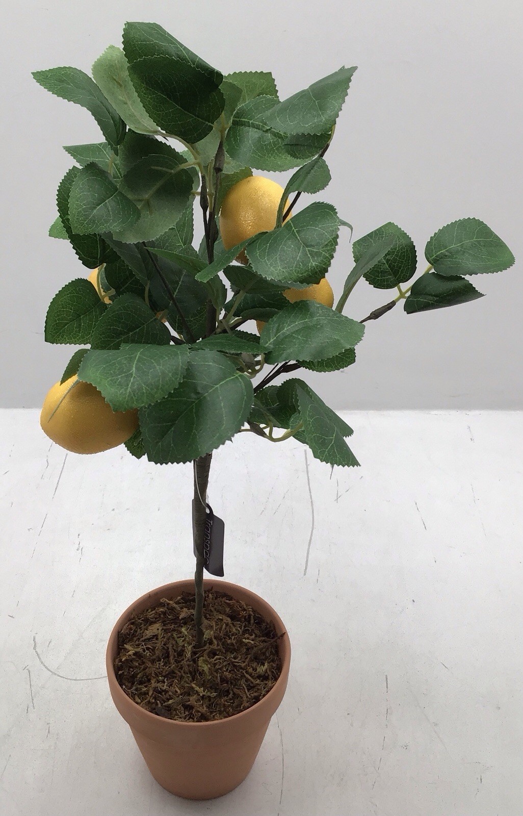 Transpac Faux Lemon Tree in Terracotta Pot Tabletop Plant 20 Inches Tall