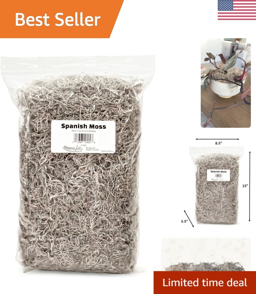 Rustic & Organic Spanish Moss for Houseplants, Crafts & Floral Arrangements