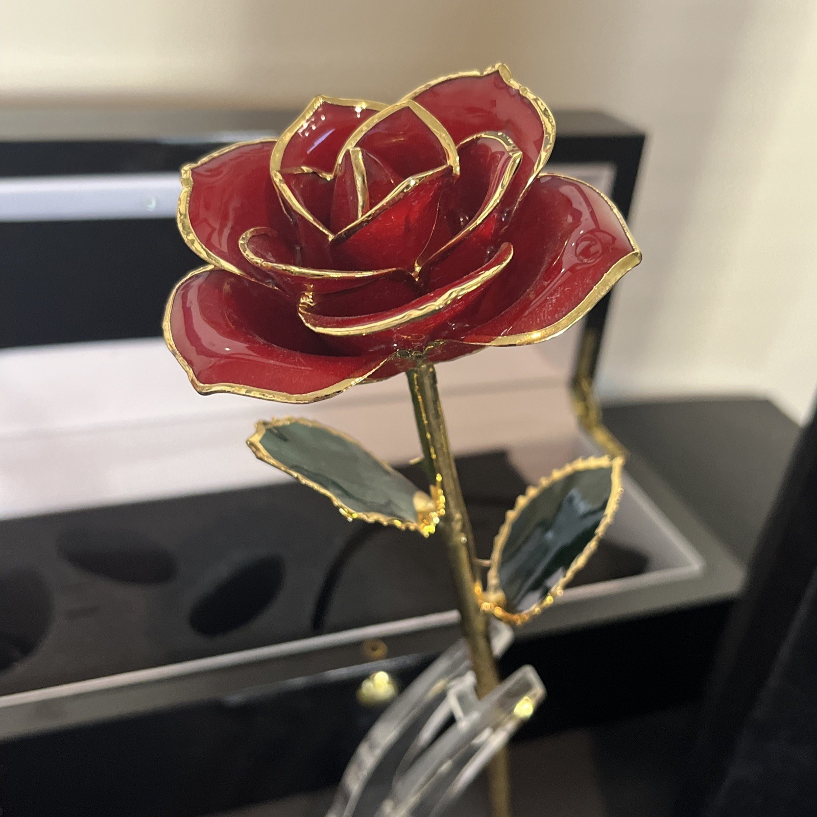 Erternal Rose Eternal Love 24k Gold Dipped Real Rose With Lighted Hard Case 11.5