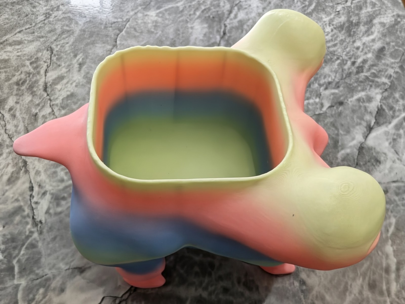 Whimsical Rainbow Dog Planter with Human Face