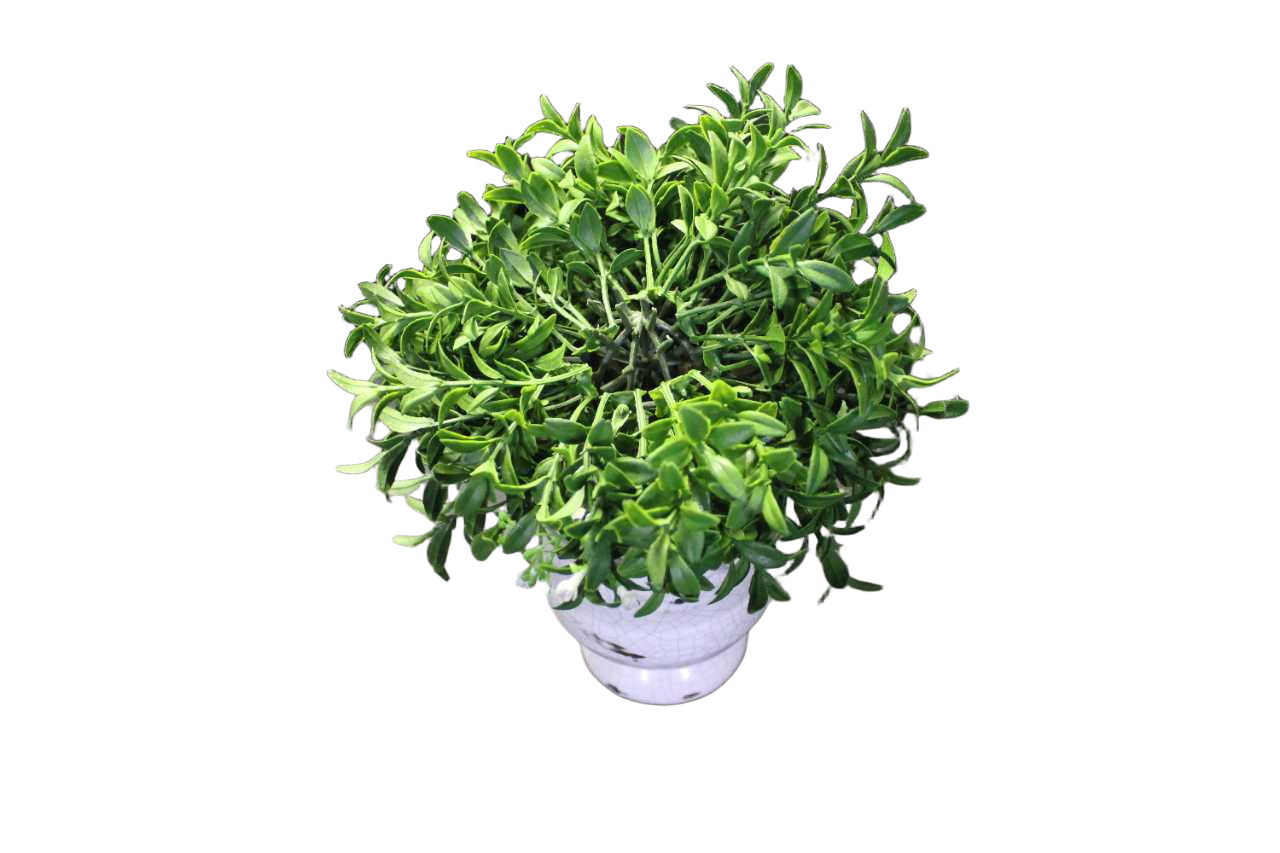 Artificial Boxwood Topiary Tree Faux Green Plant In Potted for Indoor Home Decor