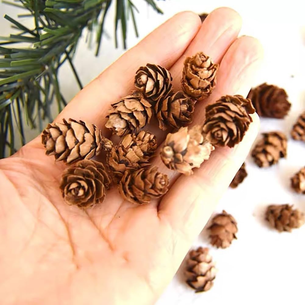 150 PCS 1 To 2cm Mini Pine Cones Brown Vase Fillers Table Decorations
