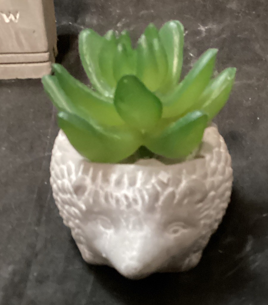 Decorative Fake Potted Succulents. New and Gently Used lot of 10 (F2)