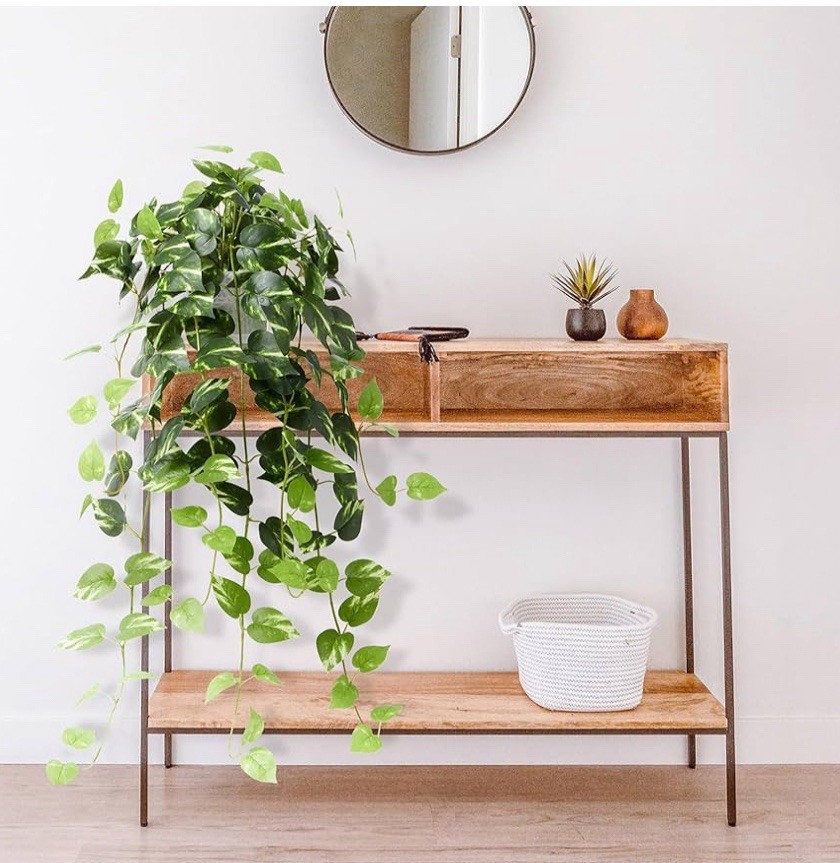 Realistic Artificial Plants Indoor in Pot Green Faux Hanging Fake Pothos Office