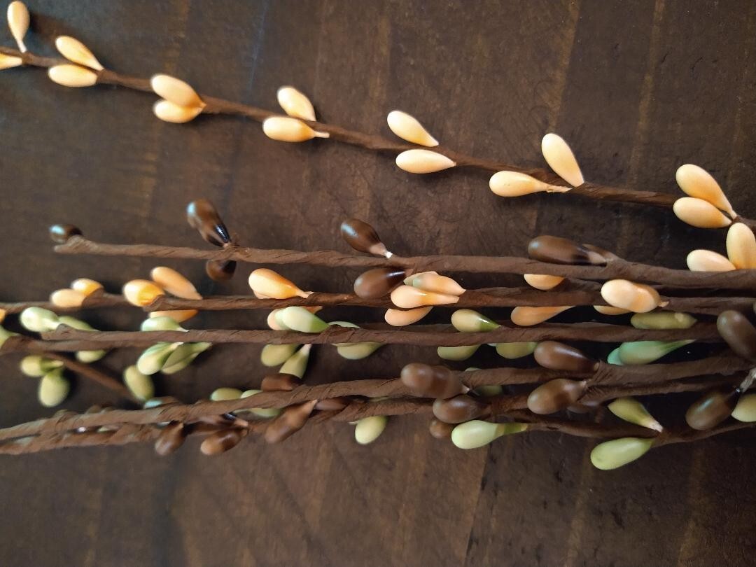 Pip Berry Coffee Bean Mix 12″ Stem ~ Home Decor