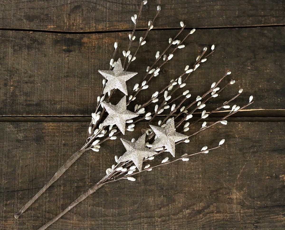 Pip Berry Floral Picks (Set/2) Platinum Silver with Glittered Stars 12 inch