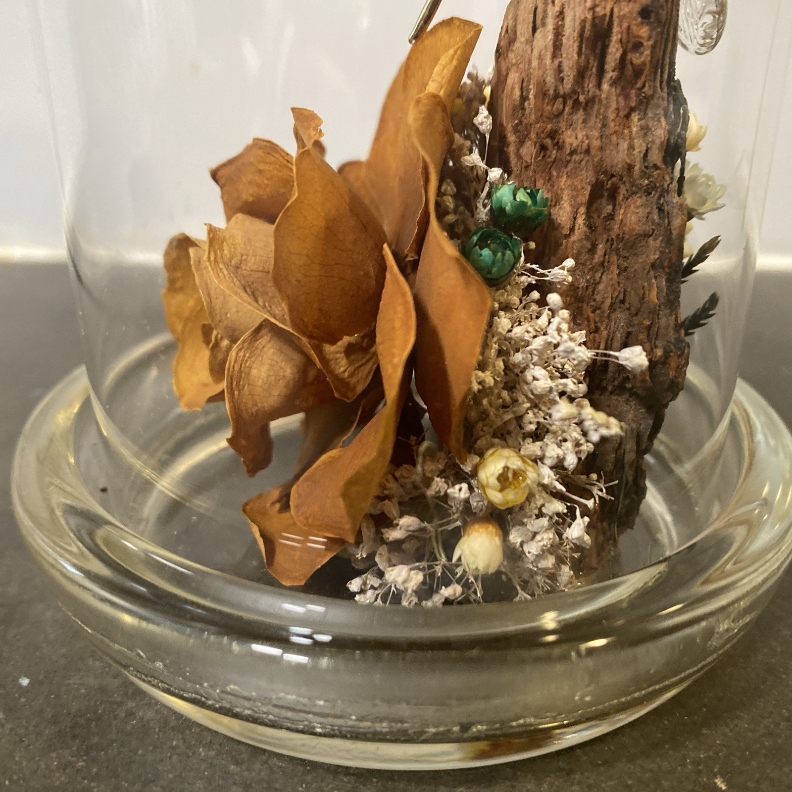 Colorado Naturals Dried Rose Floral Glass Dome Display with Glass Humming Bird