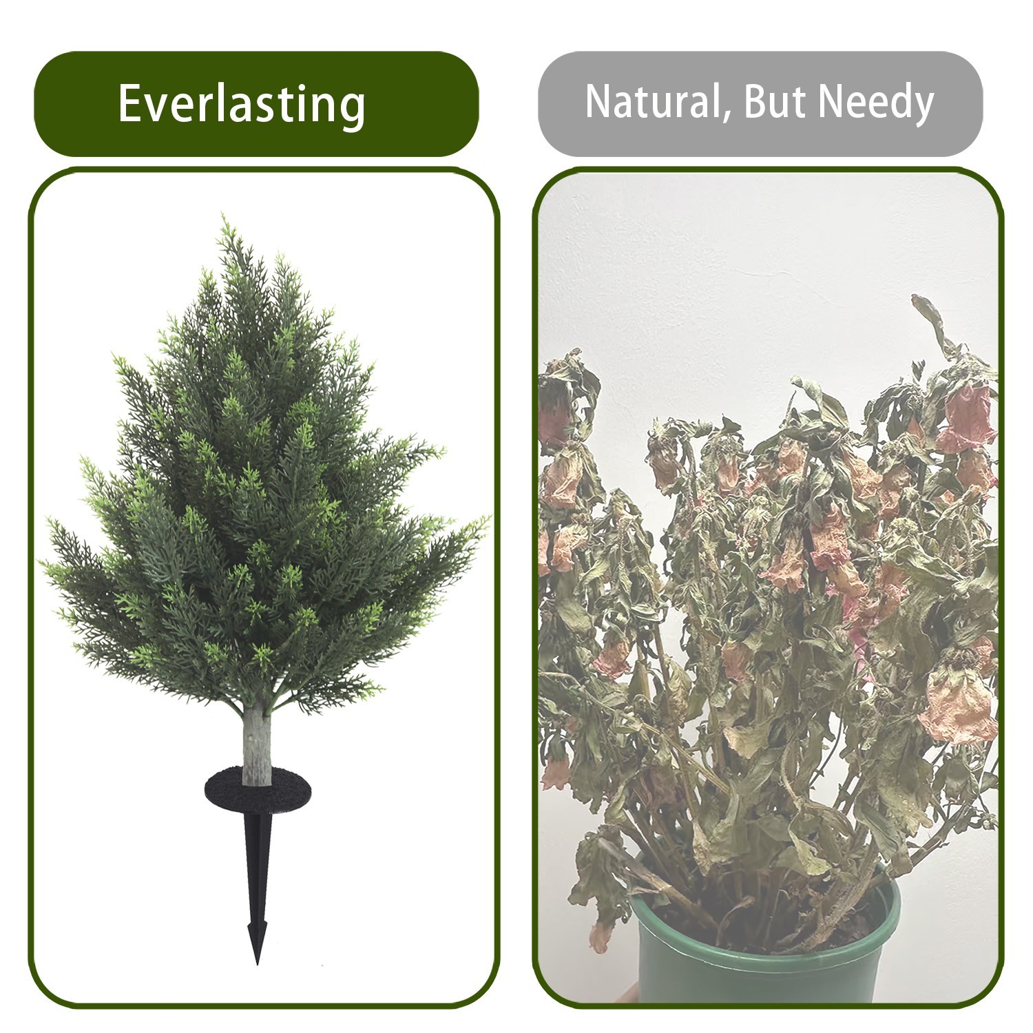 60cm Cypress Tree Stake,home decor,2 Pack,gift,Garden Doorway Decoration