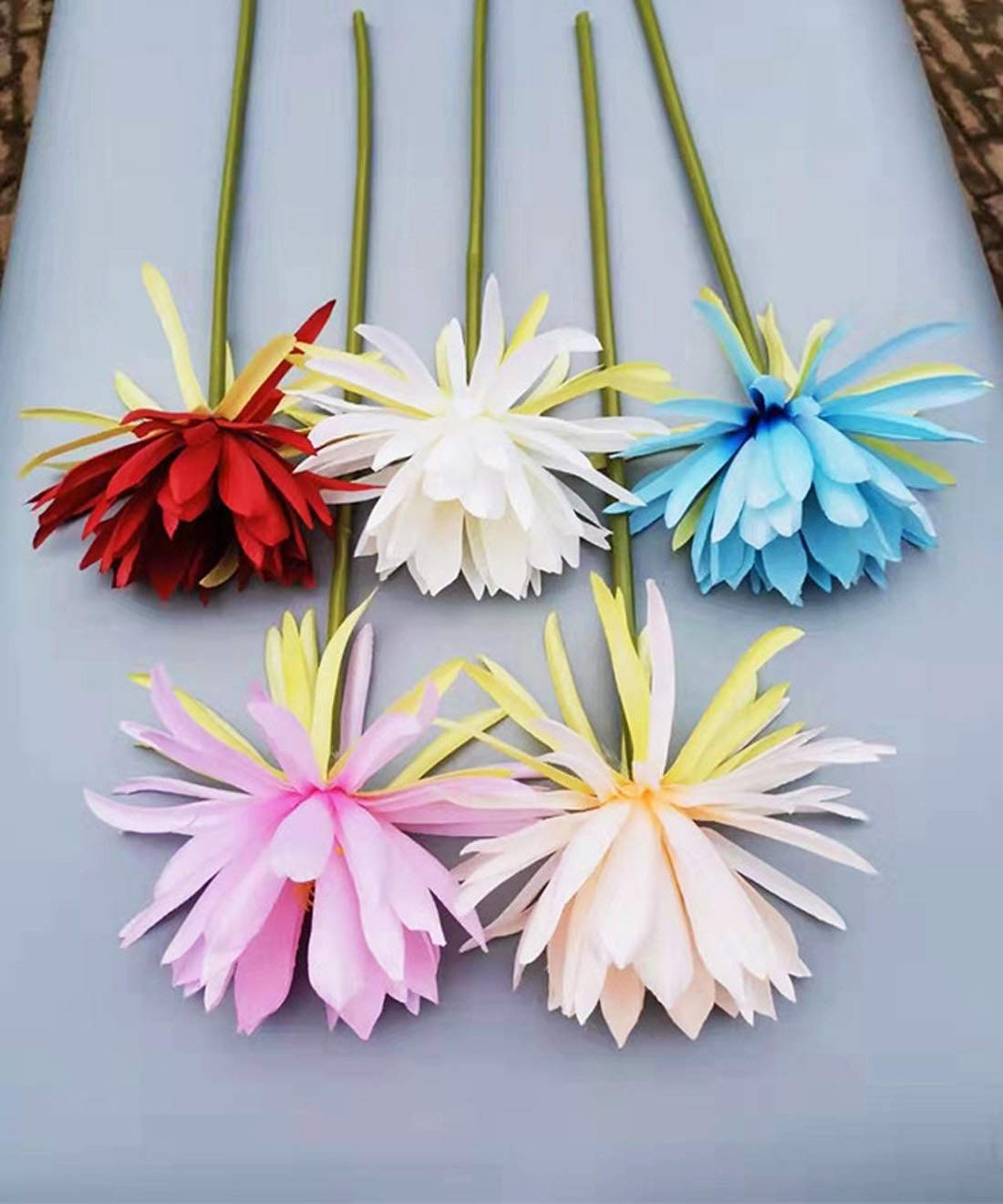 3 Stems Silk Broad-leaved Epiphyllum Night-Blooming Flowers Orchid Cactus Art…