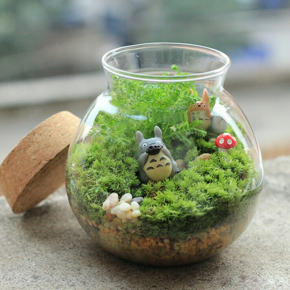 Preserved Stabilized Pole Moss Pillow Moss Bun Moss Cushion Moss Natural 20g