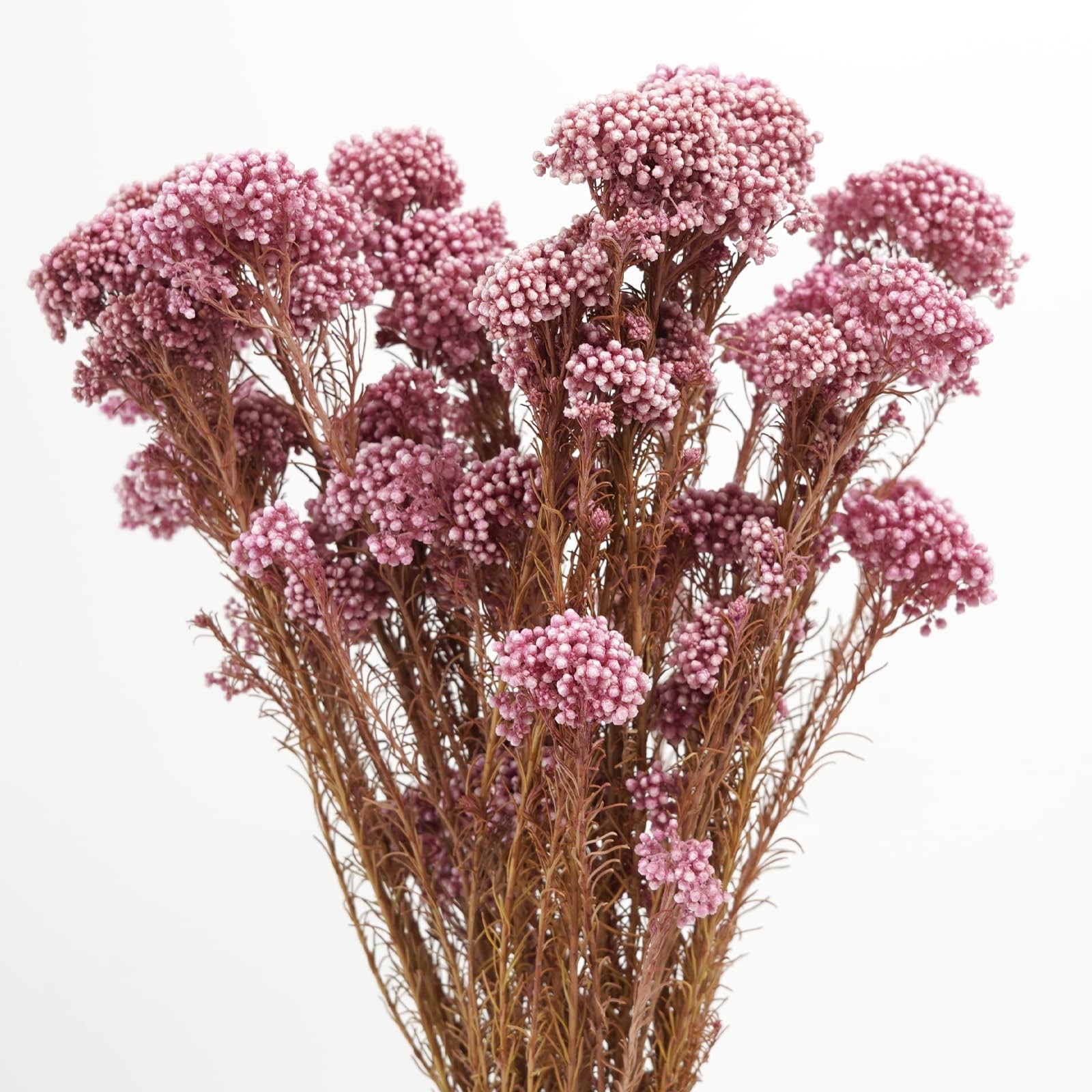 Cherry Pink Natural Preserved Millet Dried Bouquet Flowers Home Wedding Decor