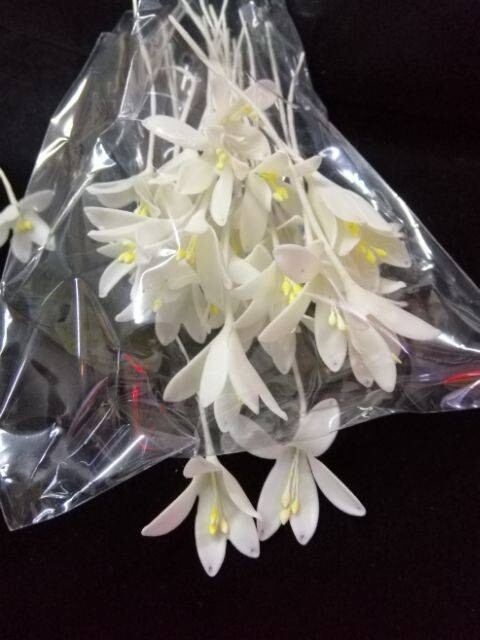 10 Pcs. Indian Cork Flowers Clay Artificial Thai Handmade Decorate Arrangement