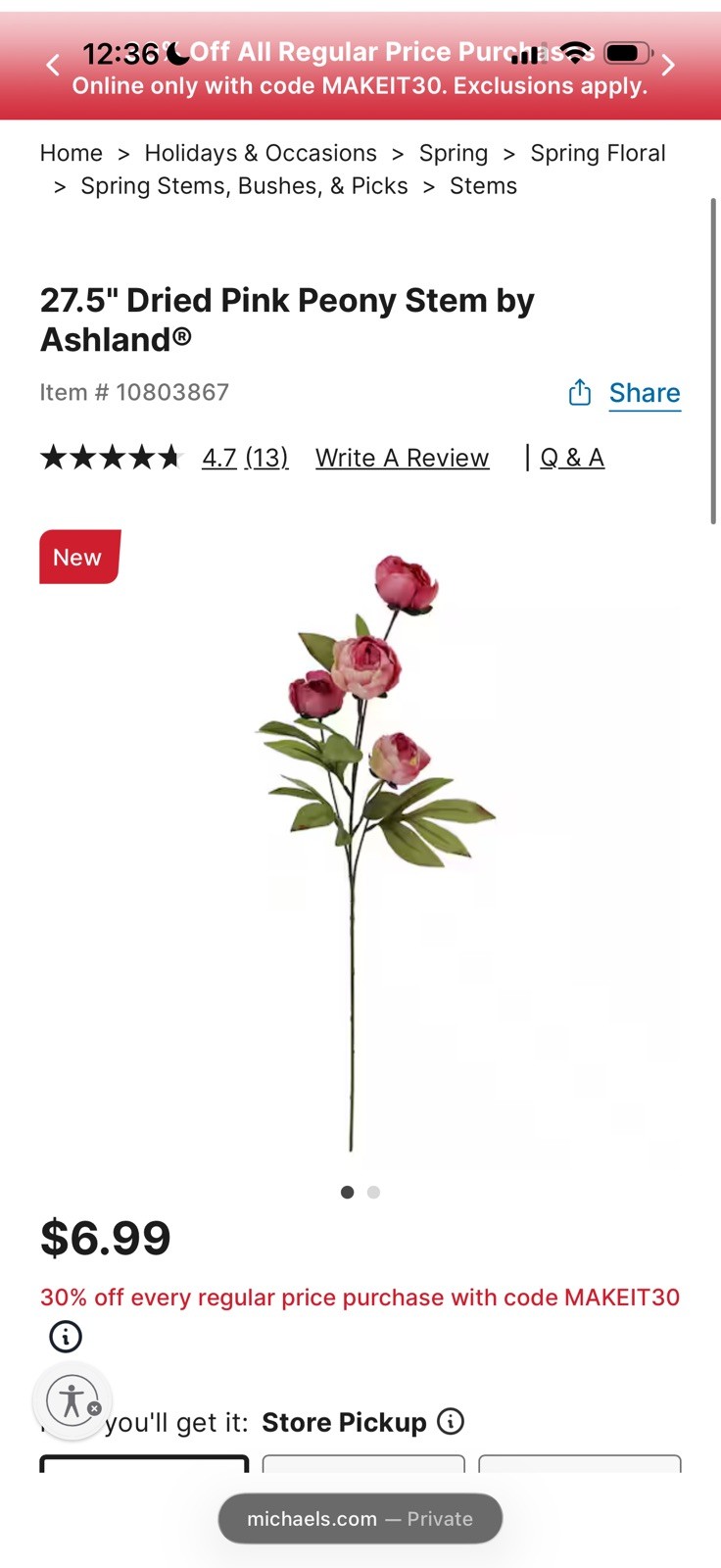 Set of 6 Viral Ashland Pink Peony Stems From Michael’s NEW 2026