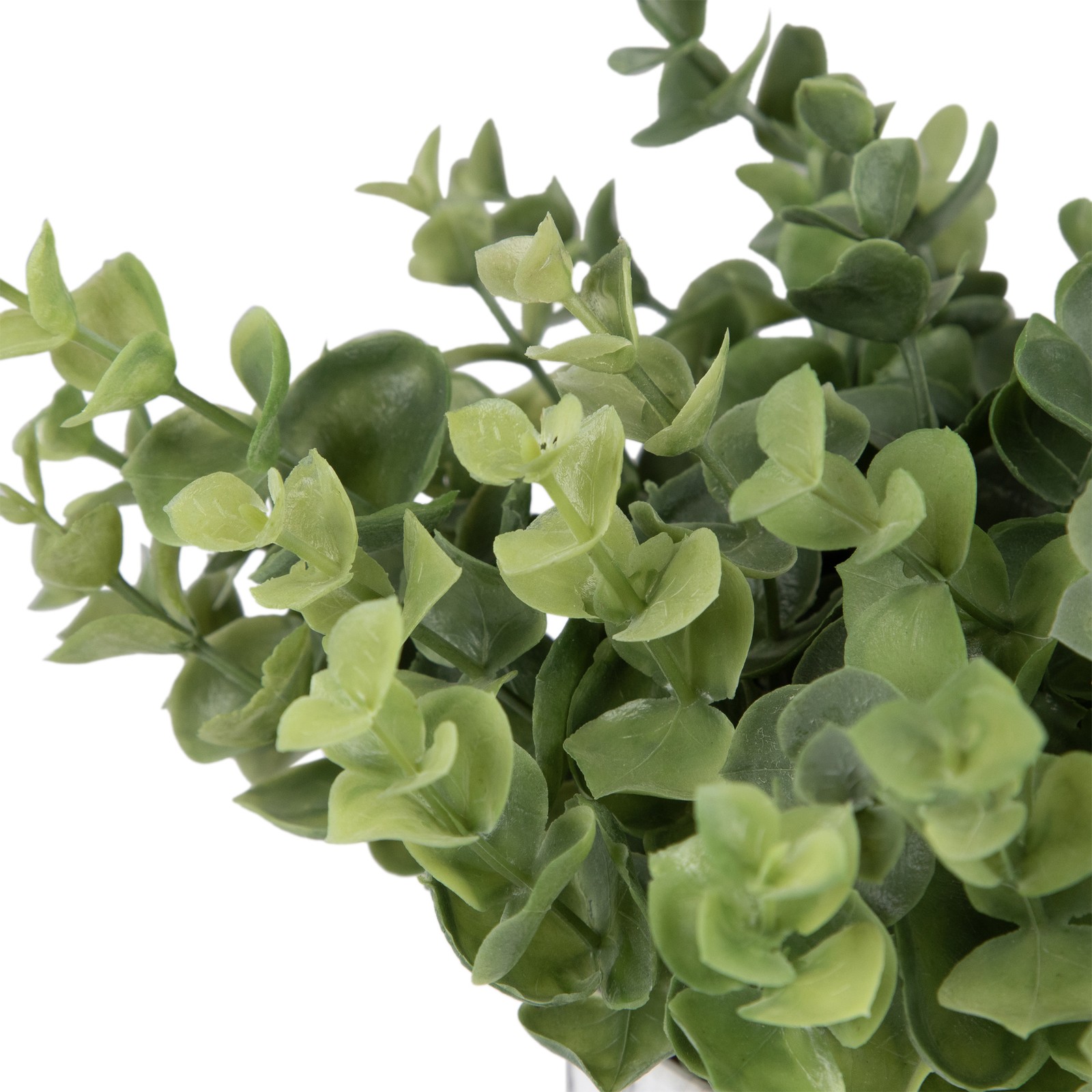Northlight 9″ Green Artificial Eucalyptus in a Marble Style White Pot