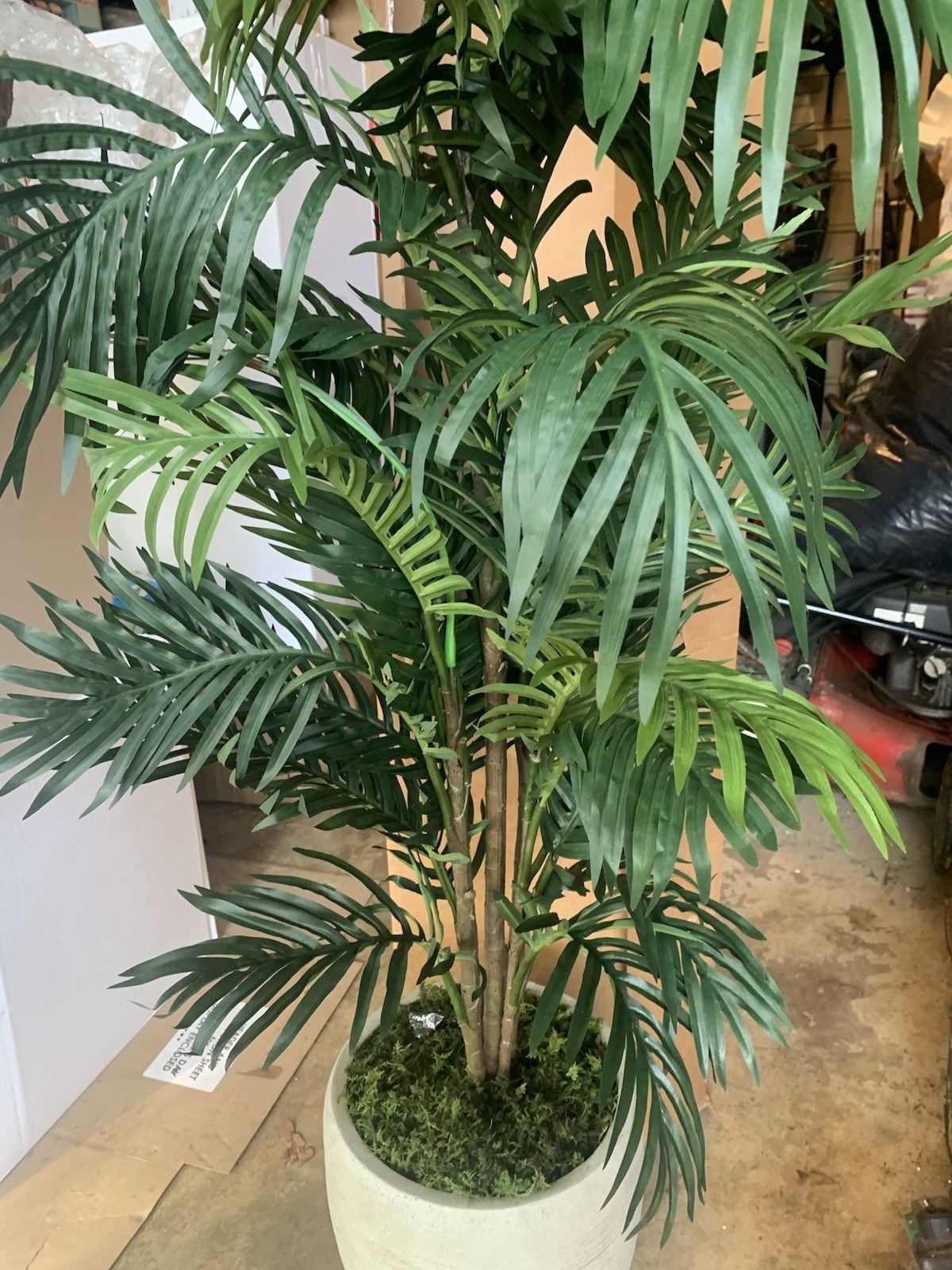 Indoor 4ft, Paradise Palm Artificial Tree in Sand Colored Planter