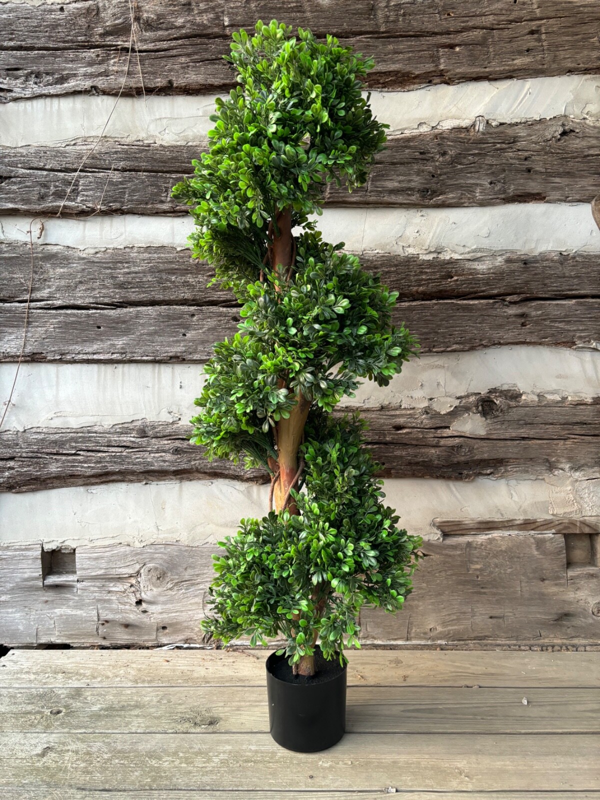 Wildwood & Cypress 48” Realistic Spiral Topiary Boxwood Tree Outdoor Use Faux