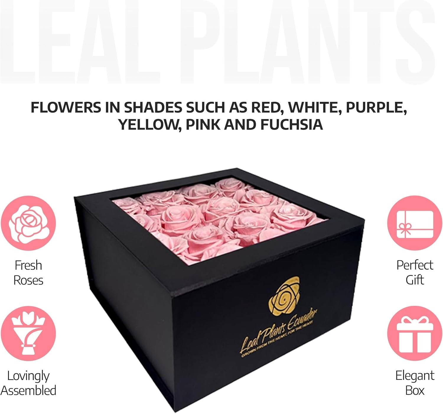 Premium Real Preserved Roses 16 PCS 100% Real Pink Roses Lasting Up to 3 Years