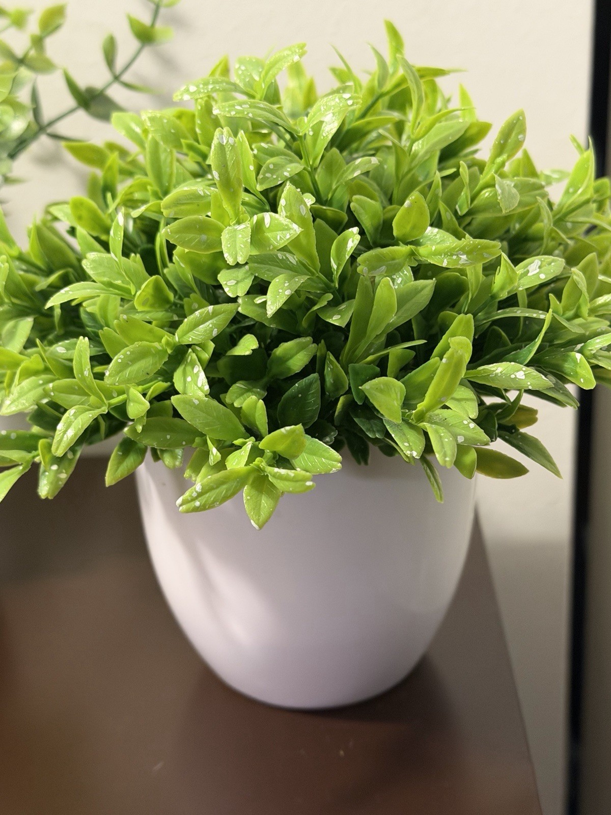 4 Pack Plants Small Faux Artificial Plastic Pots Indoor 3 Black 1 White Pot