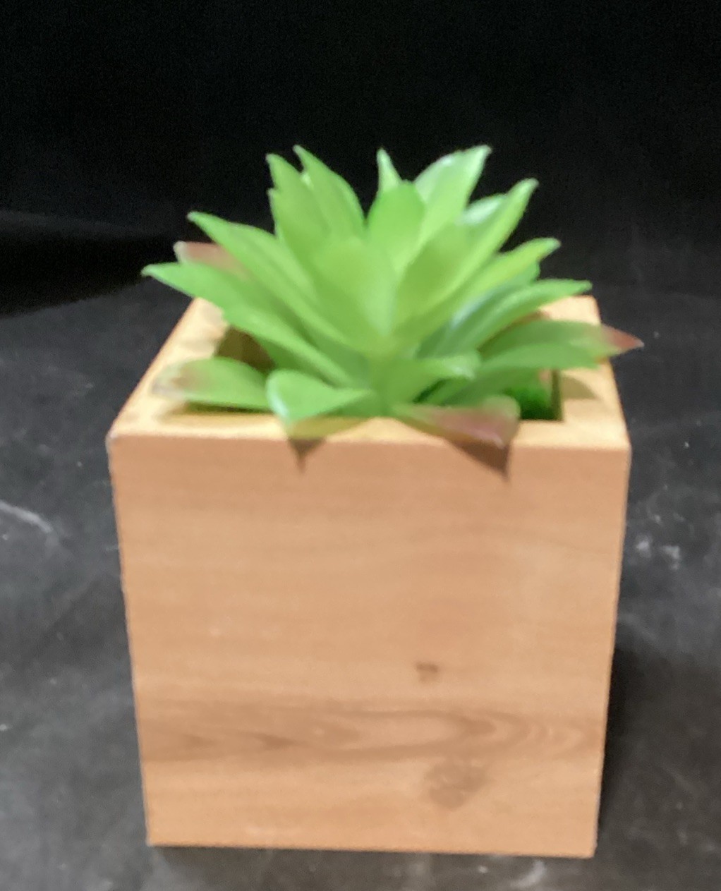 Decorative Fake Potted Succulents. New and Gently Used lot of 10 (F2)