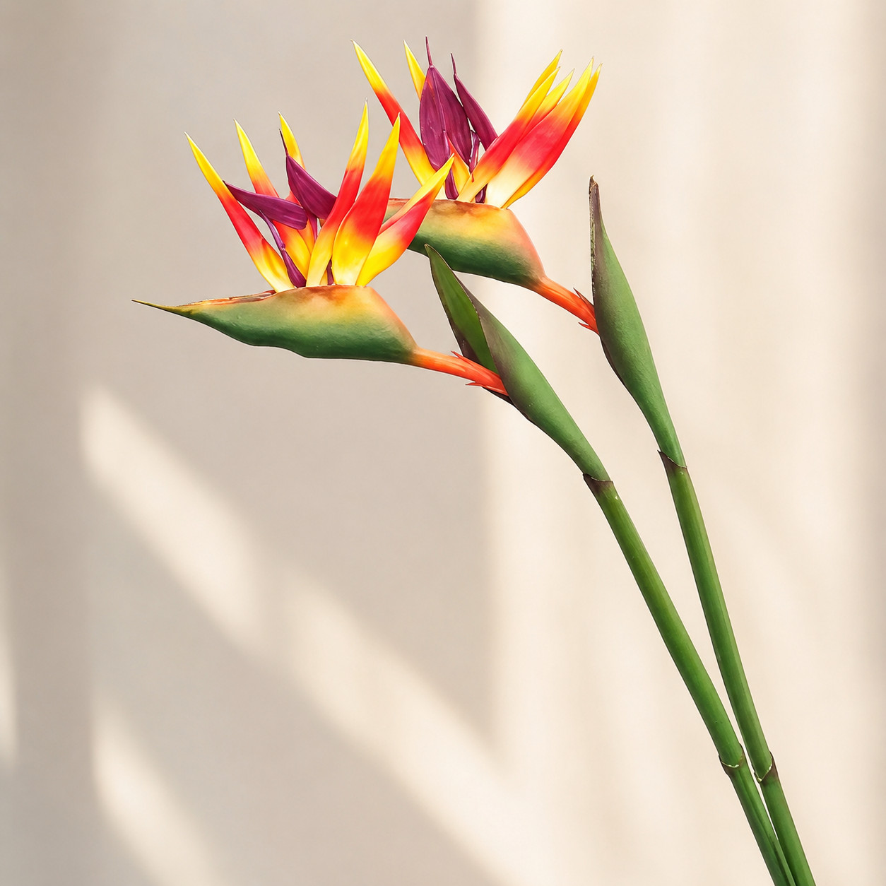 Artificial Bird of Paradise Flower Stem Faux Strelitzia Tropical Decor 31.5in