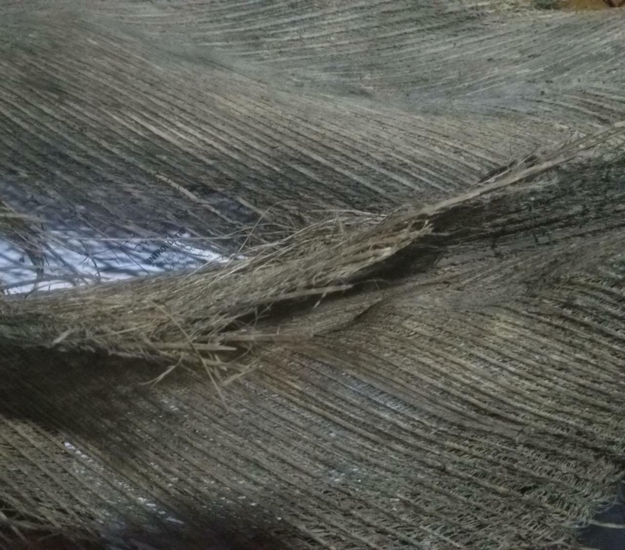 Coconut Tree Spathe Fiber for DIY Home Decorations 100% organic Free Shipping