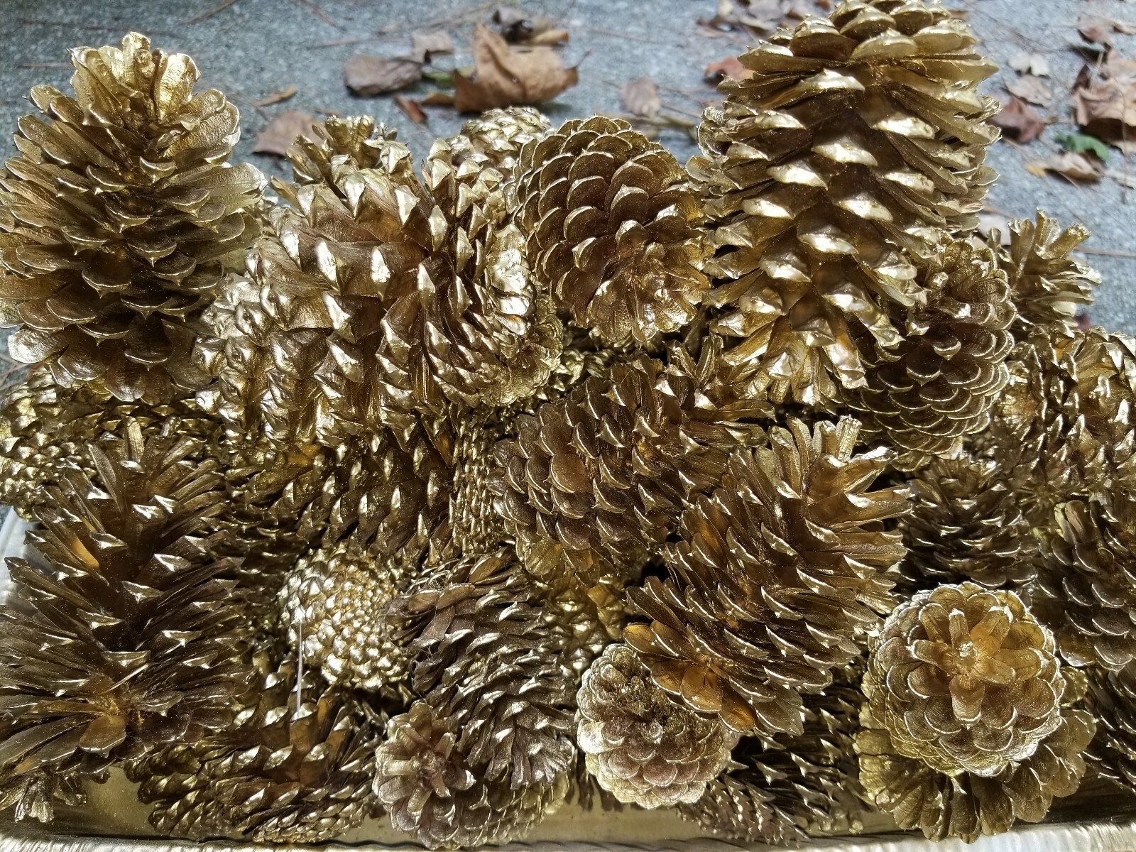 🎅15 Gold Painted Natural Pinecones