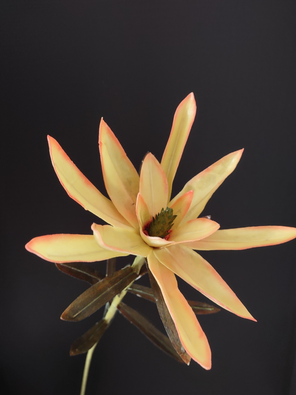 Artificial vintage star protea stems