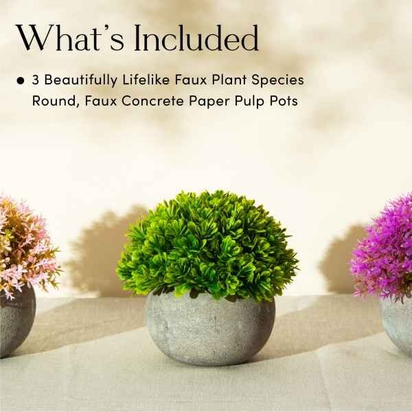 Artificial Succulent Plants Set of 3 Round Concrete Look Pot 5.5″x4.7″ Each