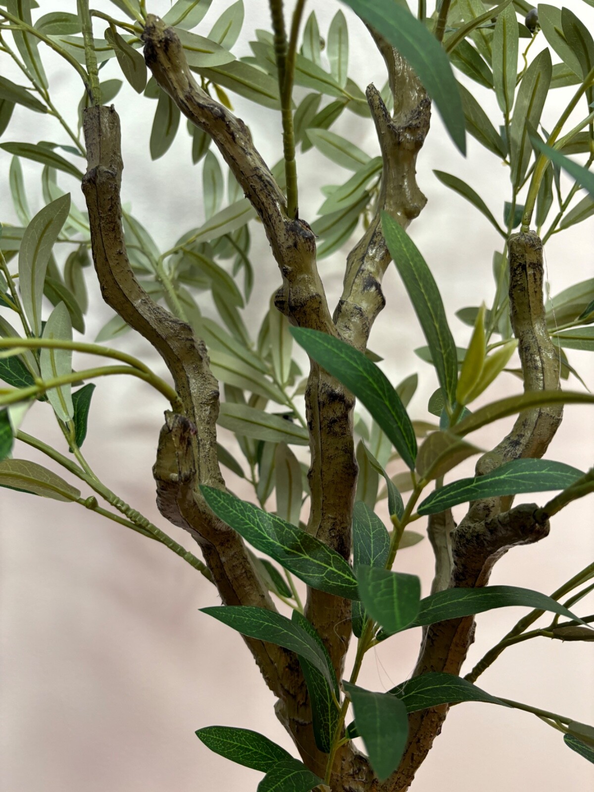 Wildwood & Cypress 60” Realistic Olive Tree Variegated Foliage Faux Indoor Plant