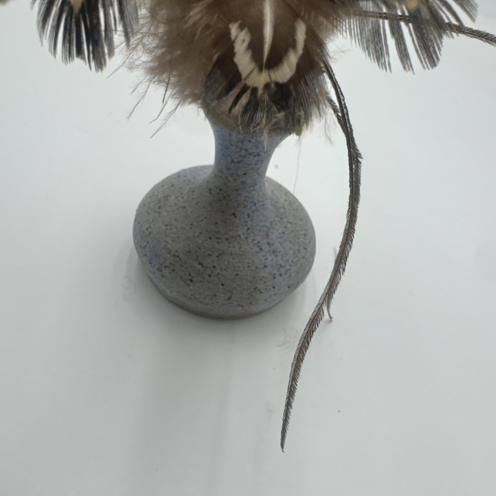 Boho Dried Floral Arrangement with Peacock Feathers & Vase Plush Bird feathers