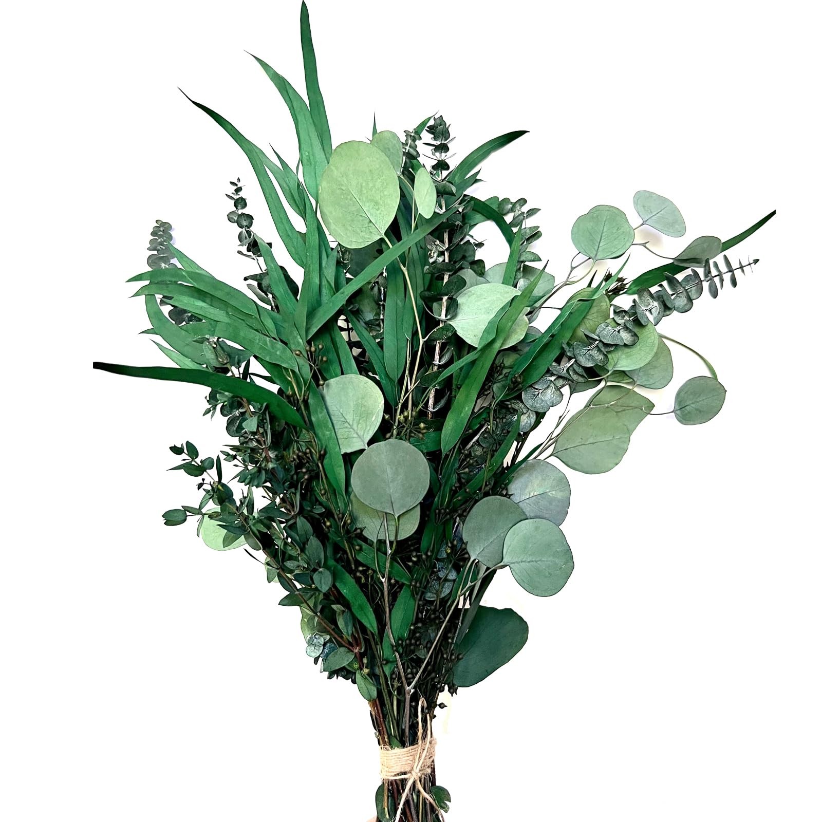 22 PCS Dried Eucalyptus for Shower Bundle, 17” Real Large Preserved Eucalypt…