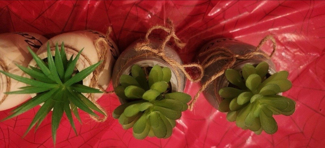 5 Pc Faux Plant “Live And Laugh” Set
