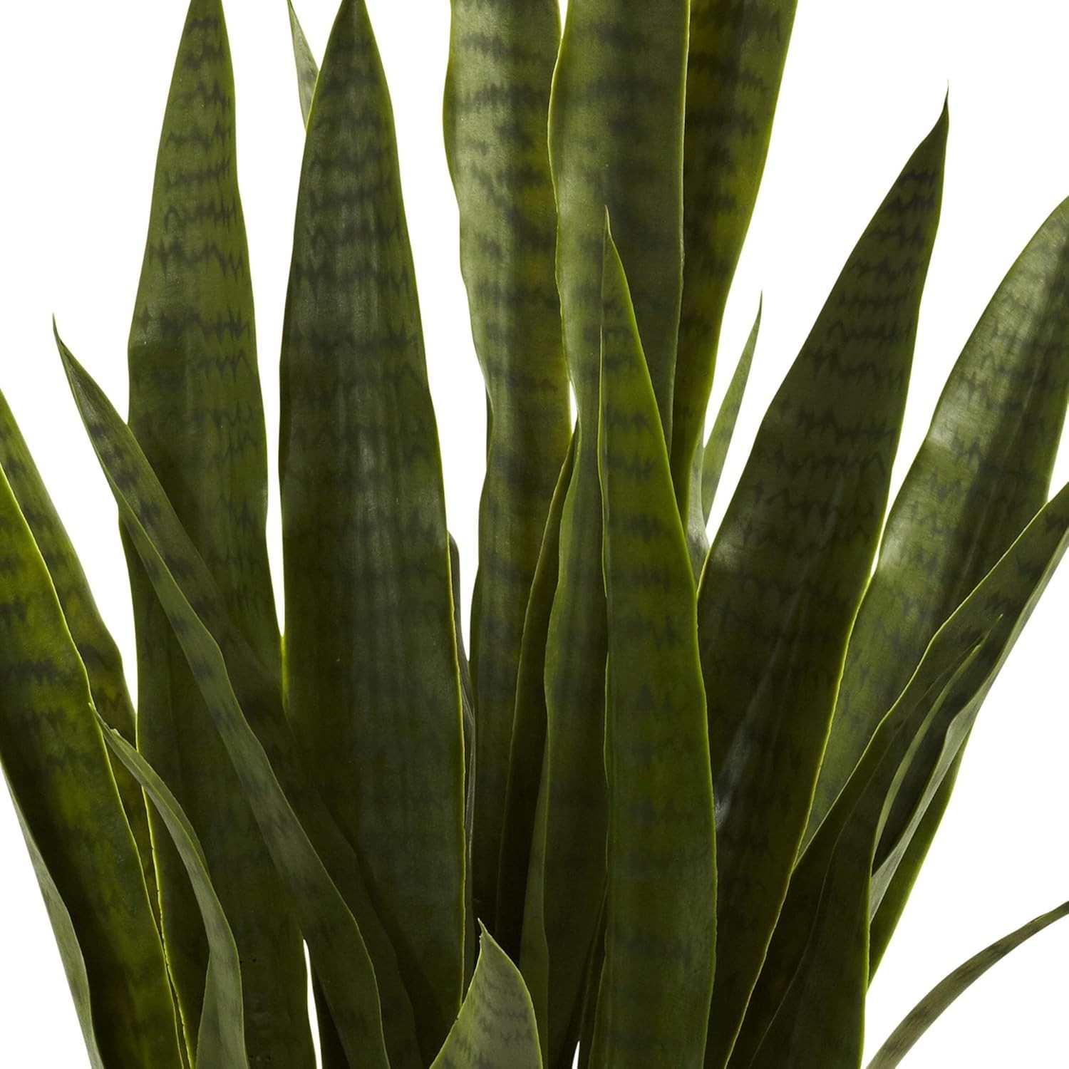 Versatile 35 Inch Sansevieria Plant for Home or Office – Black Planter Included