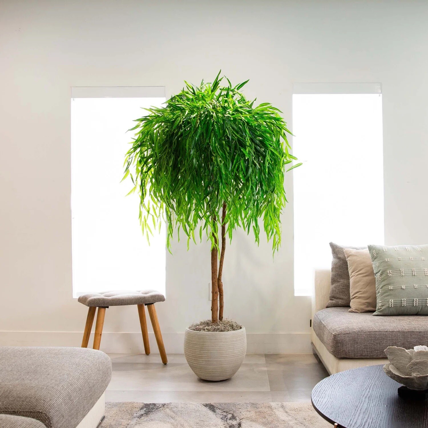 8’ Willow Artificial Tree (Real Touch) w/ Natural Trunk Home Decor. Retail $324