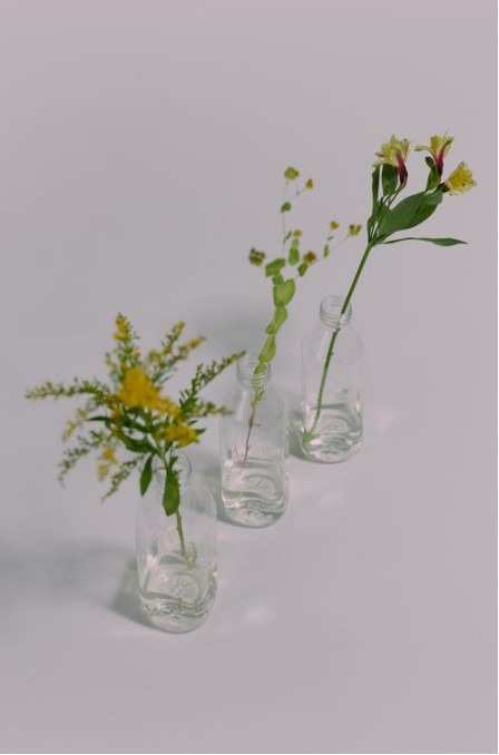 Pearl Echinacea and Crimson Freesia Combo, crafted with 14 fresh petals