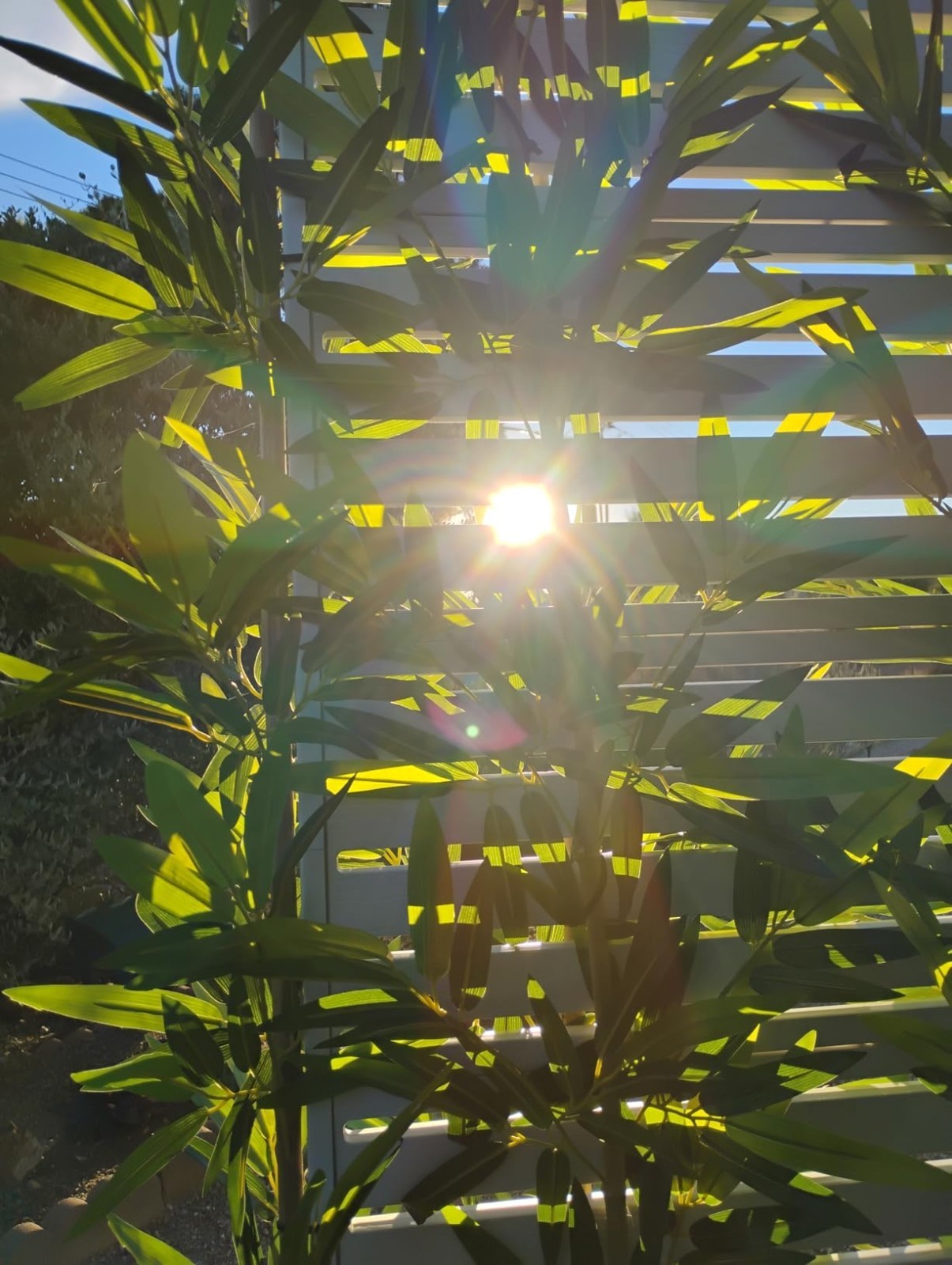 5 ft Artificial Bamboo Plant 10 Pack Faux Fake Plants for Privacy Screen Fence