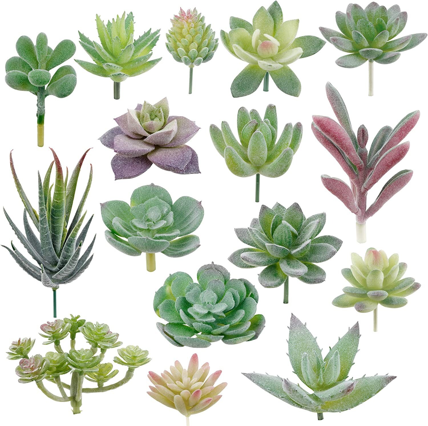 16 Pack Hassle-Free Flocked Succulent Plants – Fresh, No Maintenance Decoration